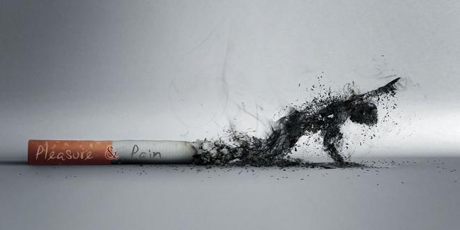 بحث عن التدخين بحث مختصر حول التدخين