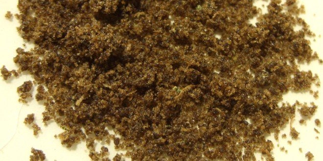 ما هي اضرار الحشيش