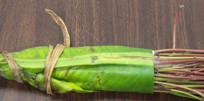 ادمان القات