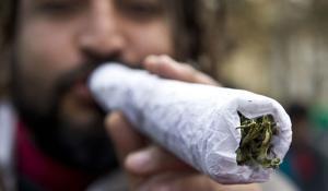 الحشيش وتحليل البول والدم