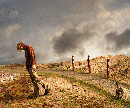 الأكثرية الهائمة